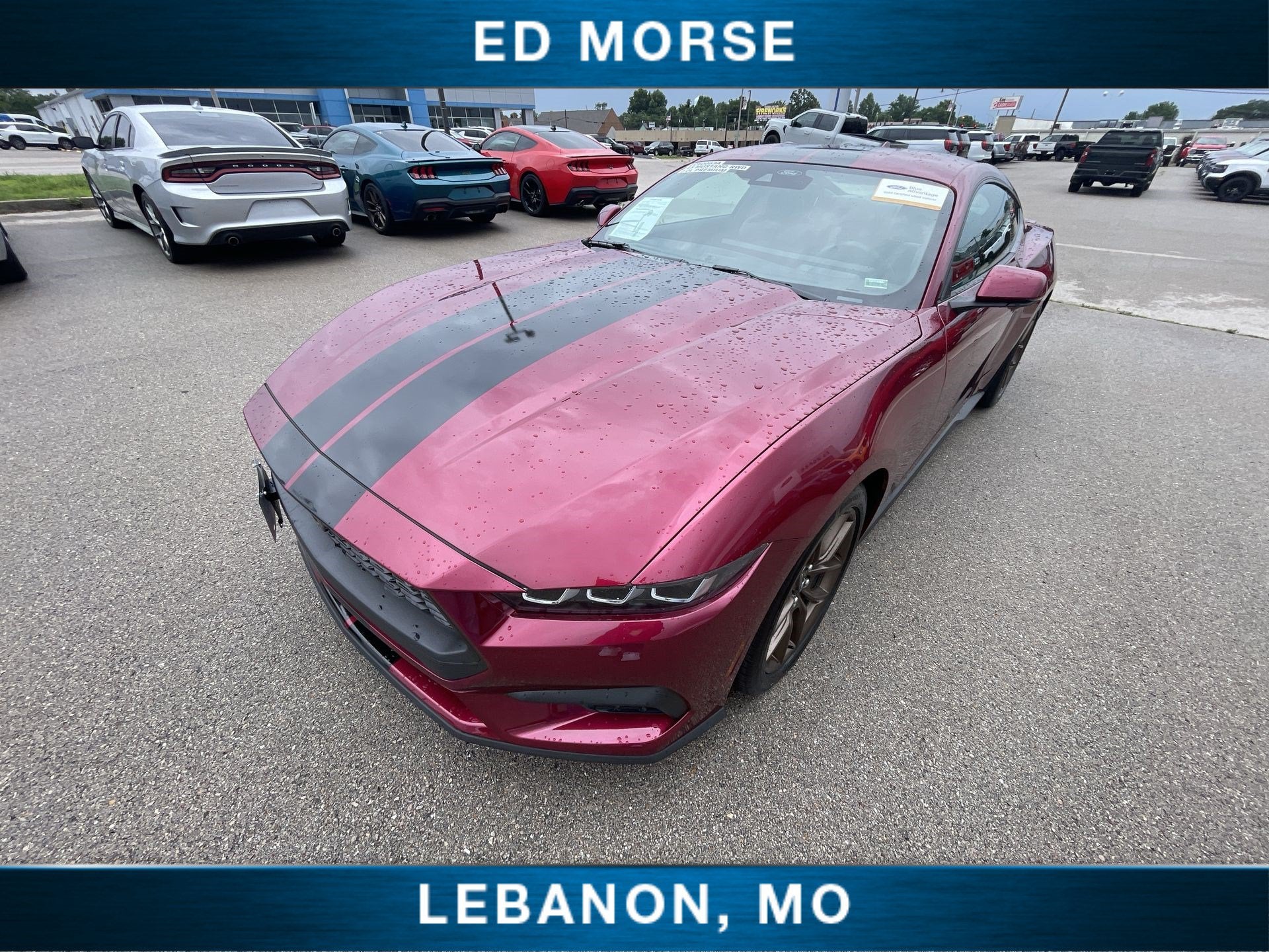 2025 Ford Mustang EcoBoost Premium