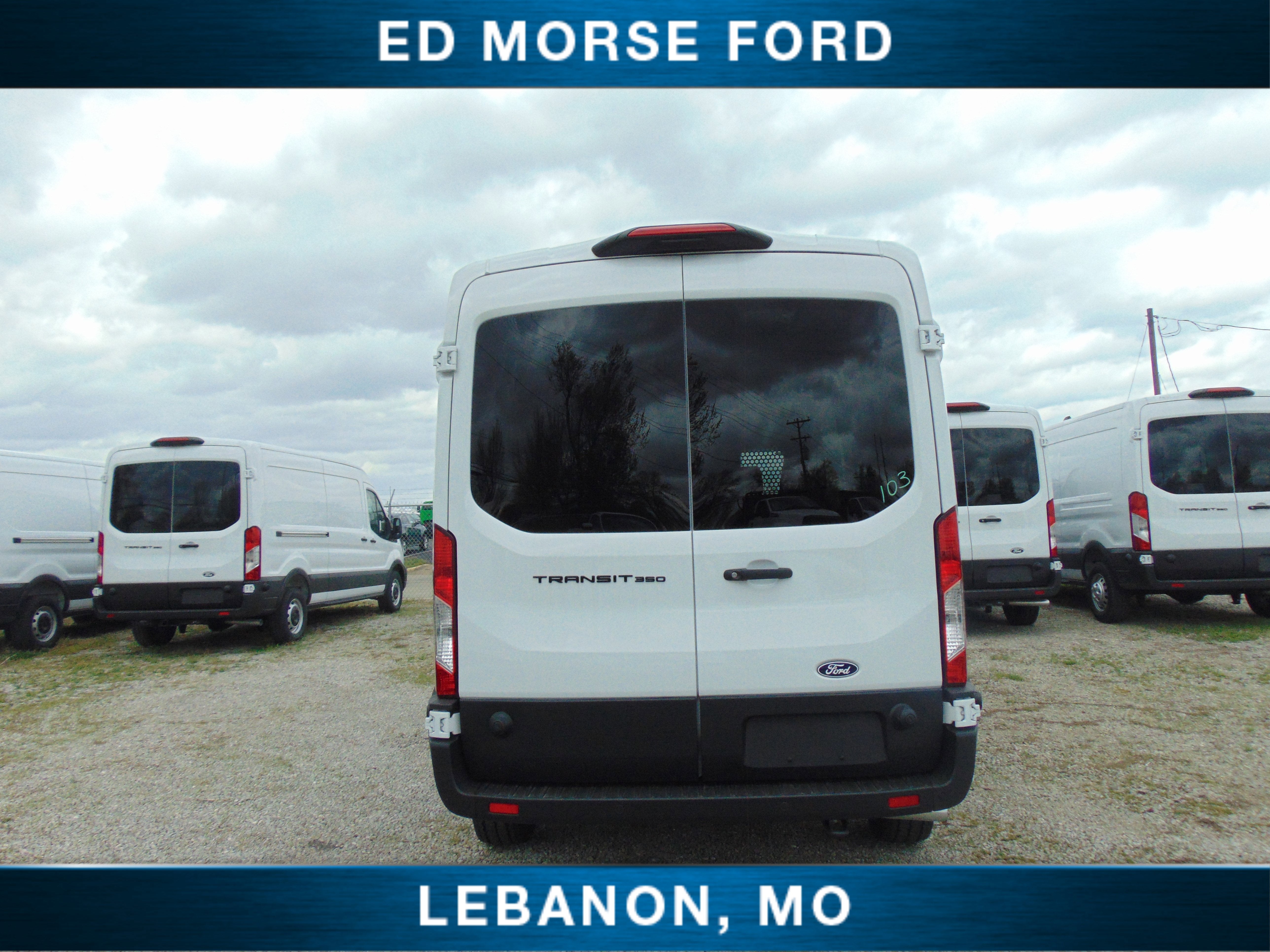 2026 Ford Transit Cargo Van Partition/sprayed/Pallet Trays
