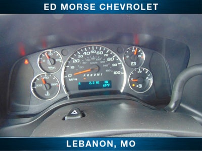 2025 Chevrolet Express Cargo WT