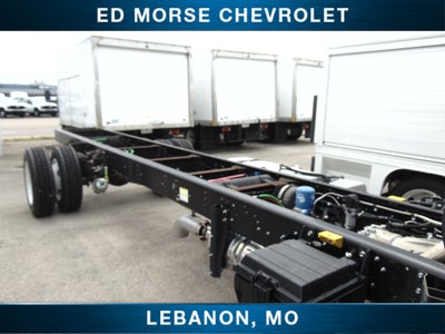 2024 Chevrolet Low Cab Forward 6500 XD NA