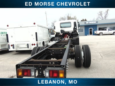 2024 Chevrolet Low Cab Forward 6500 XD NA