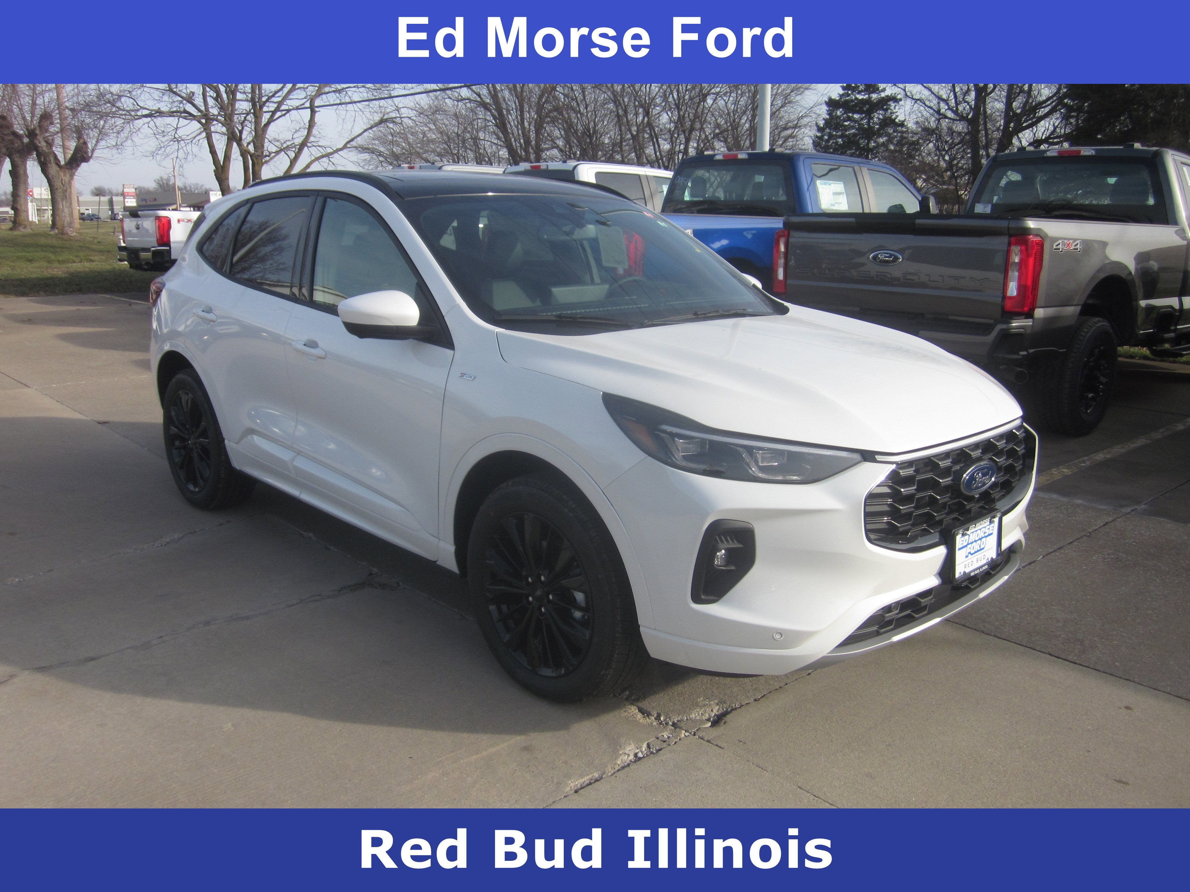 2026 Ford Escape ST-Line Elite