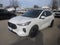2026 Ford Escape ST-Line Elite
