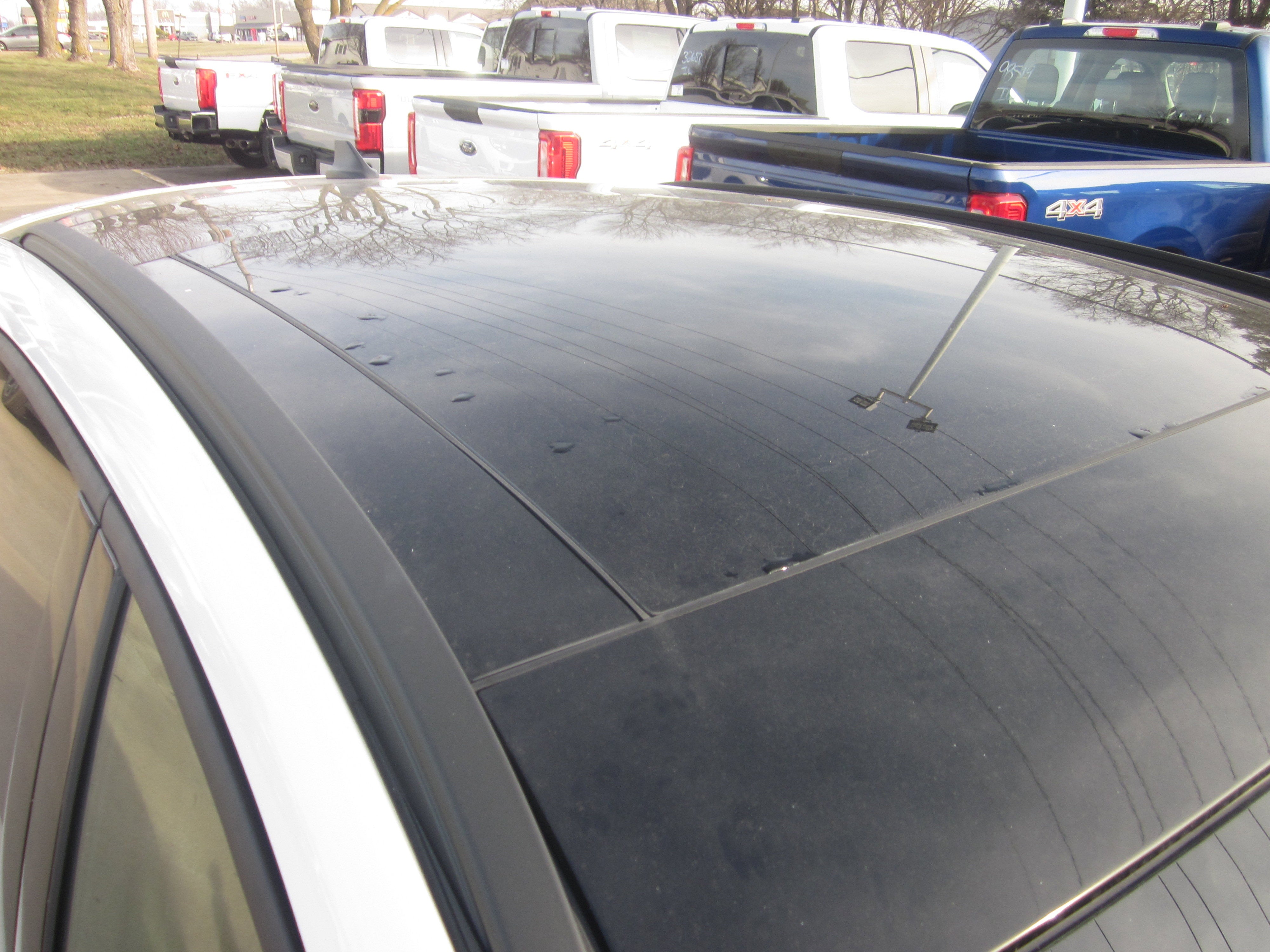 2026 Ford Escape ST-Line Elite