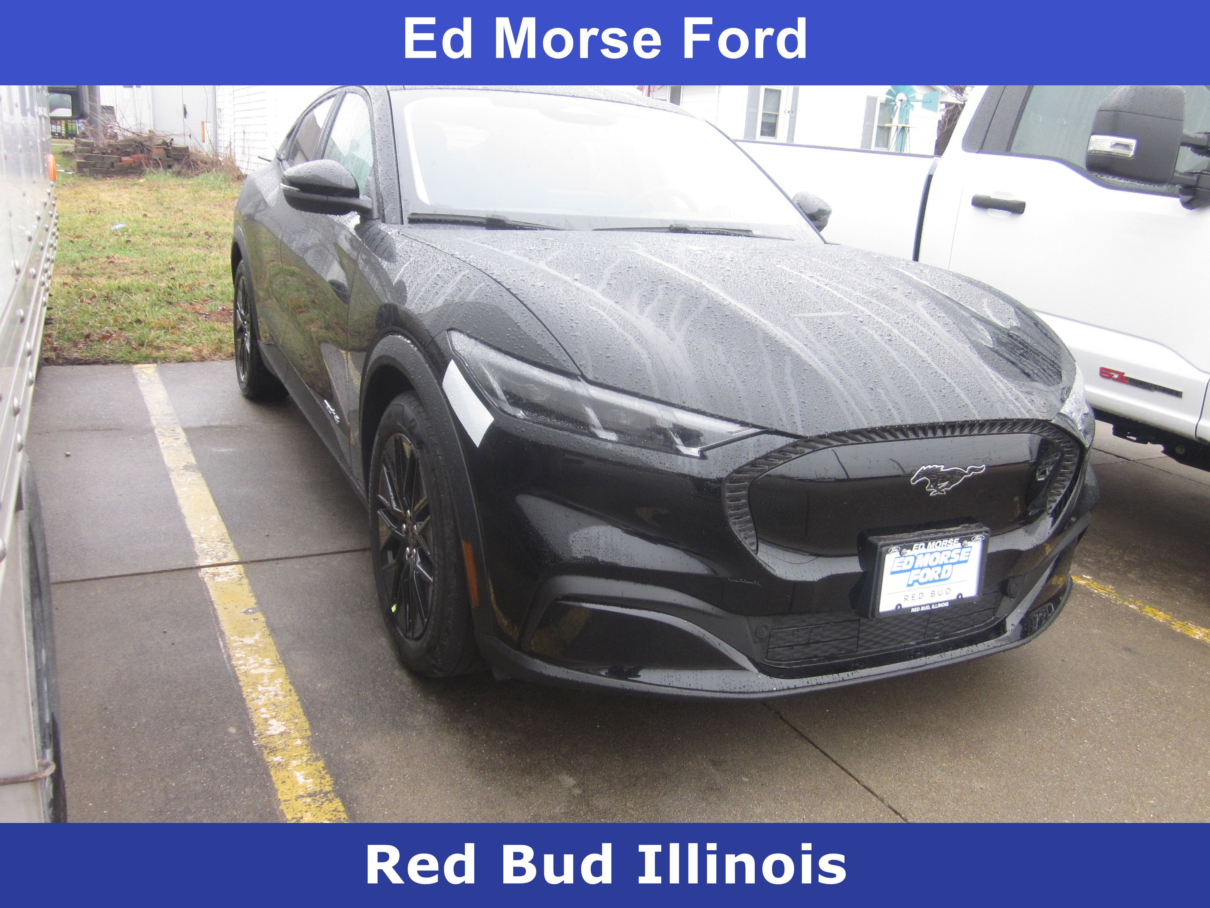 2026 Ford Mustang Mach-E Select