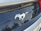 2023 Ford Mustang EcoBoost