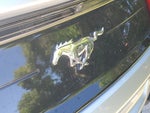 2023 Ford Mustang EcoBoost