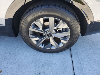 2024 Kia Sportage SX