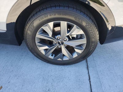 2024 Kia Sportage SX
