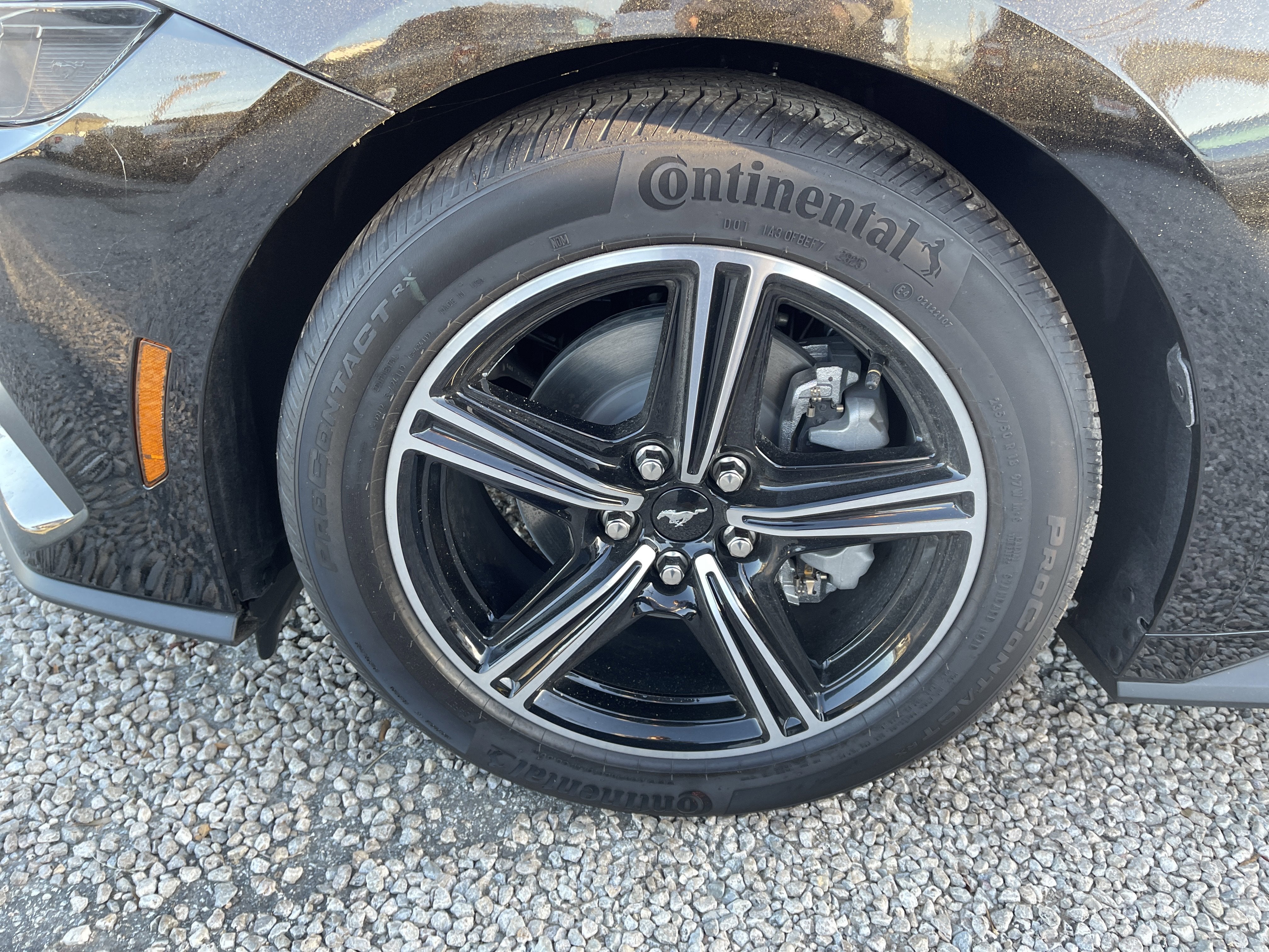 2025 Ford Mustang EcoBoost