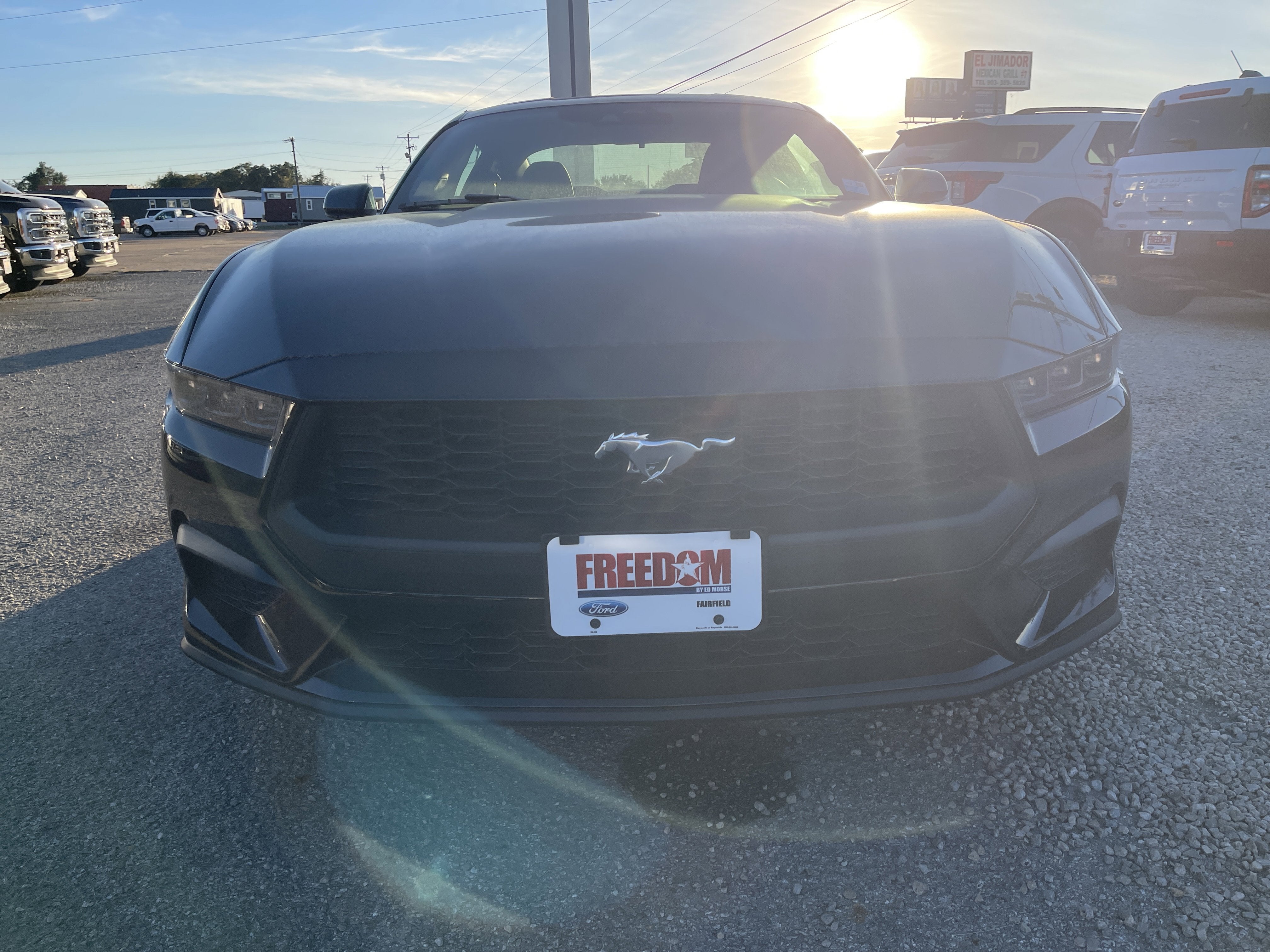 2025 Ford Mustang EcoBoost