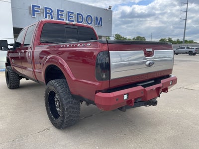 2015 Ford Super Duty F-250 SRW Platinum