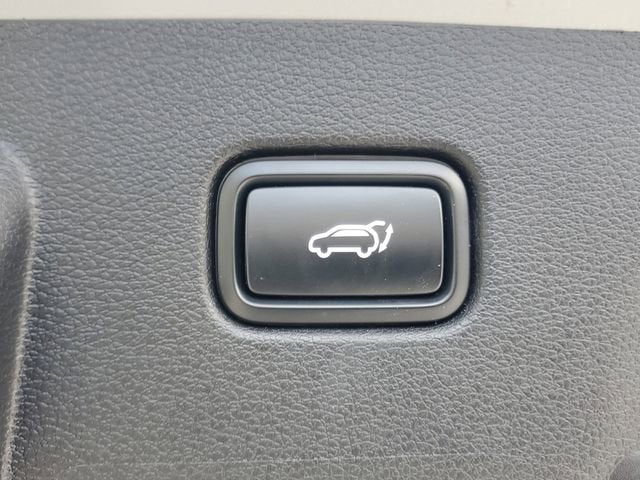 2025 Kia Sportage SX