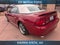 2004 Ford Mustang GT