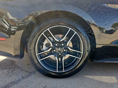 2023 Ford Mustang EcoBoost