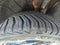 2021 Hyundai ELANTRA Limited IVT *Ltd Avail*