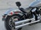 2024 Harley-Davidson Softail FXST - Standard