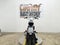 2024 Harley-Davidson Softail FXST - Standard