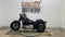2009 Harley-Davidson FLSTSB - Cross Bones Base