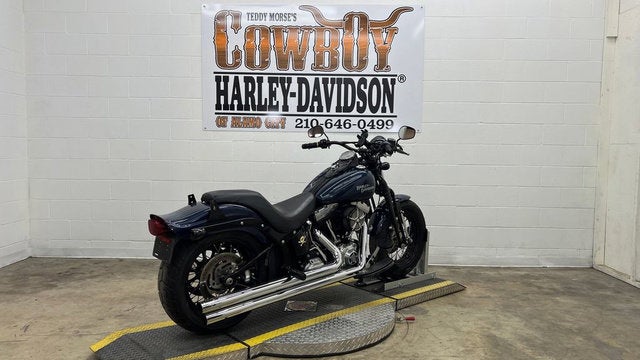 2009 Harley-Davidson FLSTSB - Cross Bones Base