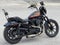 2020 Harley-Davidson XL1200NS - Sportster Iron 1200 Base