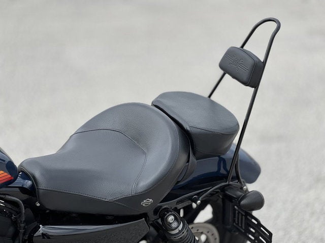 2020 Harley-Davidson XL1200NS - Sportster Iron 1200 Base