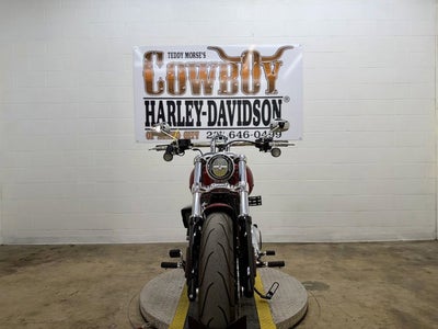 2025 Harley-Davidson Softail FXBR - Breakout