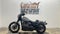 2026 Harley-Davidson Softail FXLRS - Low Rider S