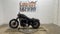 2019 Harley-Davidson Sportster XL 883N - Iron 883