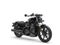 2026 Harley-Davidson Sportster RH975 - Nightster