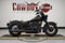 2026 Harley-Davidson Softail FLHD - Deadwood
