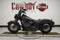 2026 Harley-Davidson Softail FLHD - Deadwood