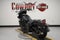 2026 Harley-Davidson Softail FLHD - Deadwood