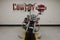 2021 Harley-Davidson Touring FLHR - Road King