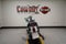 2017 Harley-Davidson Softail FLSTN - Deluxe