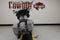 2026 Harley-Davidson FLTRX - Road Glide Base