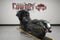 2026 Harley-Davidson Touring FLTRX - Road Glide