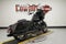 2026 Harley-Davidson Touring FLTRX - Road Glide
