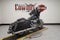 2017 Harley-Davidson Street Glide FLHXS - Special