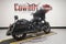2021 Harley-Davidson Street Glide FLHXS - Special