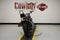 2017 Harley-Davidson XL1200CX - Roadster Base