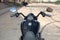 2024 Harley-Davidson Trike FLRT - Freewheeler