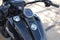2024 Harley-Davidson Trike FLRT - Freewheeler