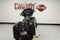 2017 Harley-Davidson FLHXSE - CVO Street Glide Base