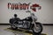 2022 Harley-Davidson Softail FLHCS - Heritage Classic 114