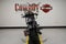 2020 Harley-Davidson Softail FLSL - Softail Slim