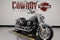 2026 Harley-Davidson Softail FLFB - Fat Boy