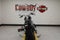 2026 Harley-Davidson Softail FLFB - Fat Boy