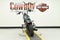 2025 Harley-Davidson Softail FXBB - Street Bob