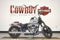 2026 Harley-Davidson Softail FXBB - Street Bob